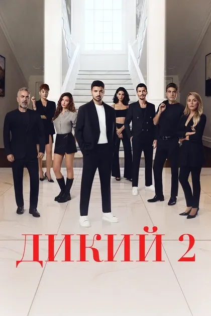 Бертан Асллани