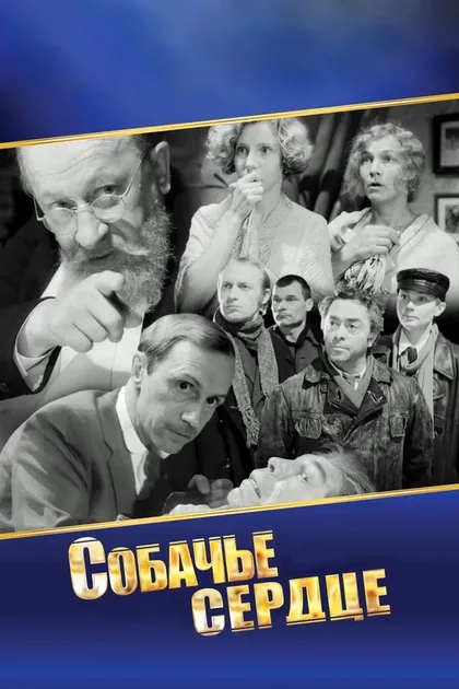 Анатолий Сливников